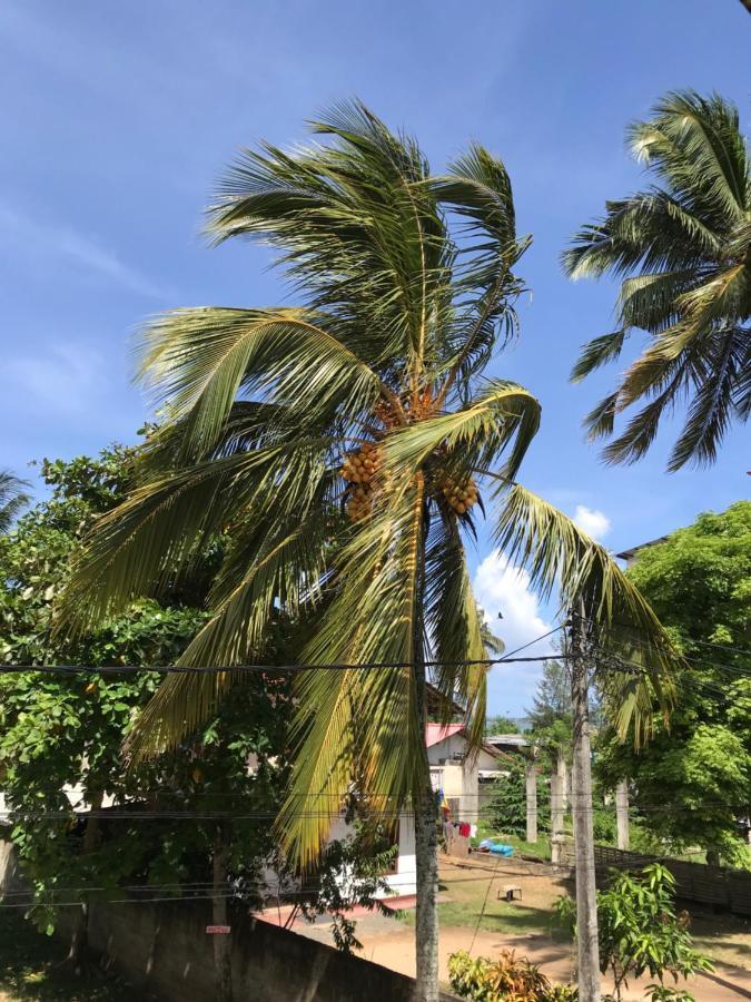 Wh Beach Resort Weligama Eksteriør billede